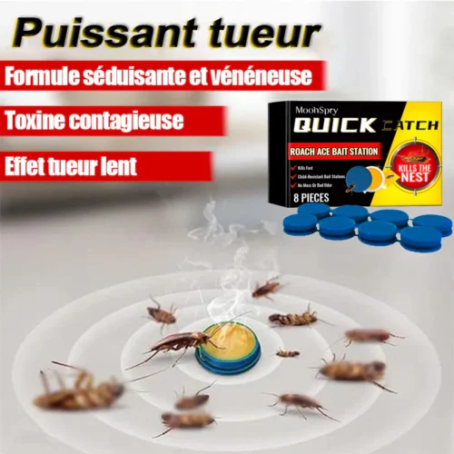 catch2 Station d'appât pour cafards