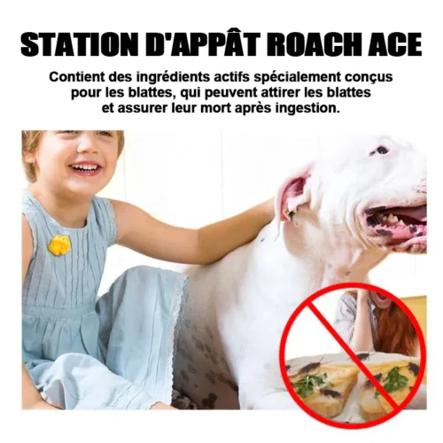 catch5 Station d'appât pour cafards